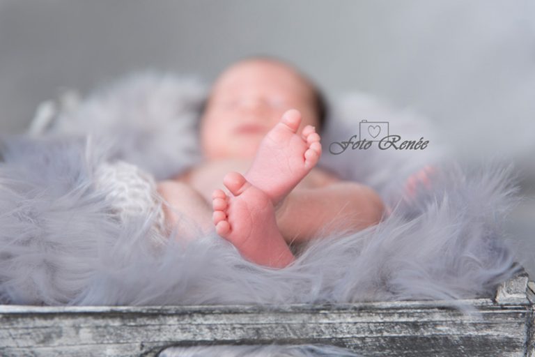 newborn en baby fotografie