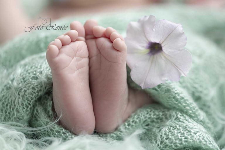 Newborn voetjes met bloem